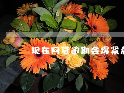现在网贷逾期会爆紧急联系人吗 现在网贷逾期会爆紧急联系人吗