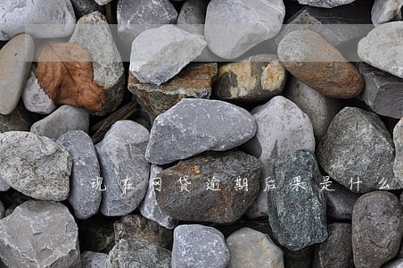 现在网贷逾期后果是什么样 现在网贷逾期后果是什么样