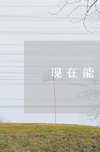 现在能不能开无违法犯罪记录证明 现在能不能开无违法犯罪记录证明