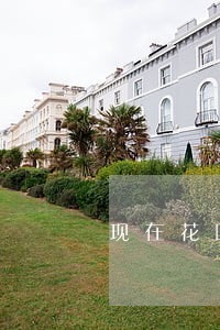 现在花呗逾期都打电话催了吗 现在花呗逾期都打电话催了吗