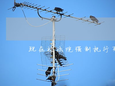 现在被法院强制执行列入黑名单 现在被法院强制执行列入黑名单