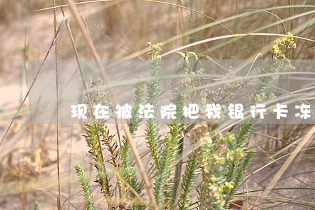现在被法院把我银行卡冻结了