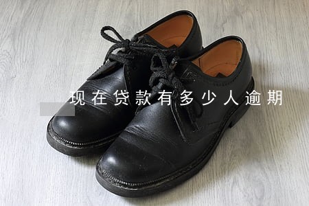现在贷款有多少人逾期 现在贷款有多少人逾期
