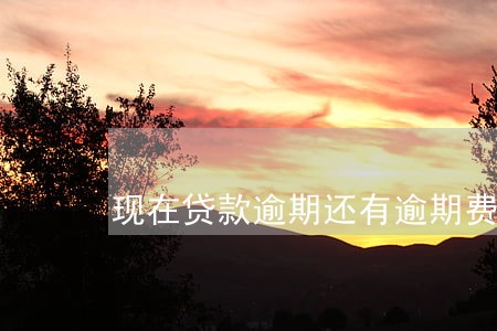 现在贷款逾期还有逾期费吗 现在贷款逾期还有逾期费吗