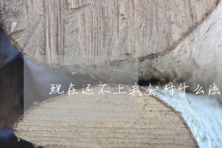 现在还不上我会付什么法律责任 现在还不上我会付什么法律责任