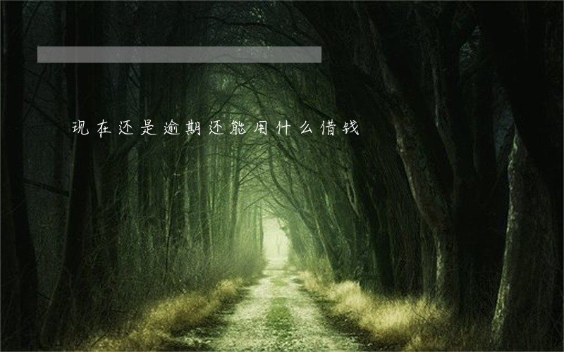 现在还是逾期还能用什么借钱 现在还是逾期还能用什么借钱