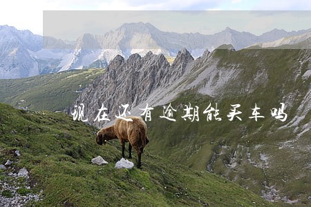 现在还有逾期能买车吗 现在还有逾期能买车吗