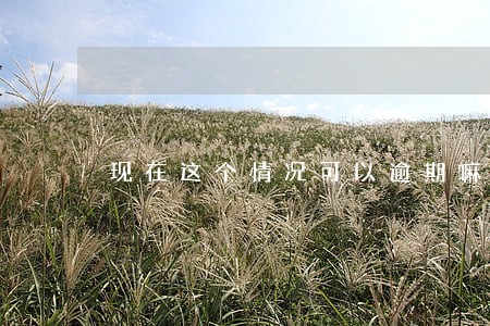 现在这个情况可以逾期嘛 现在这个情况可以逾期嘛