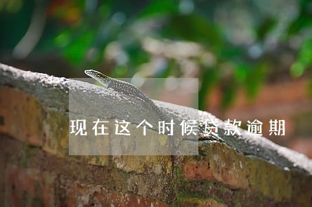 现在这个时候贷款逾期 现在这个时候贷款逾期