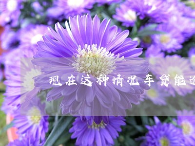 现在这种情况车贷能逾期吗 现在这种情况车贷能逾期吗