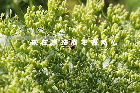 现在违法成本很低么