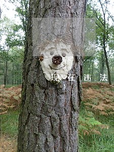 现在违法都处理了 现在违法都处理了