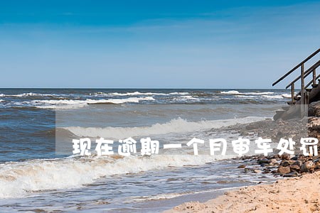 现在逾期一个月审车处罚吗 现在逾期一个月审车处罚吗