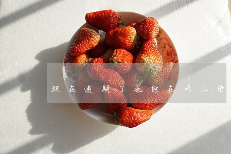 现在逾期了也能在网上借到钱吗 现在逾期了也能在网上借到钱吗