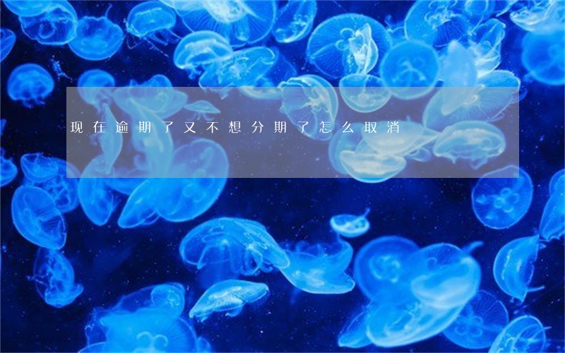 现在逾期了又不想分期了怎么取消