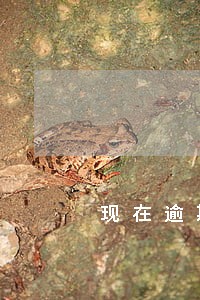 现在逾期了能借款的小额贷 现在逾期了能借款的小额贷