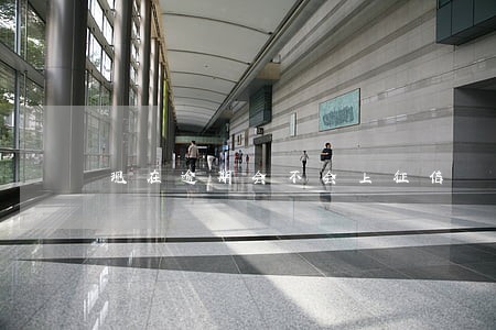 现在逾期会不会上征信 现在逾期会不会上征信