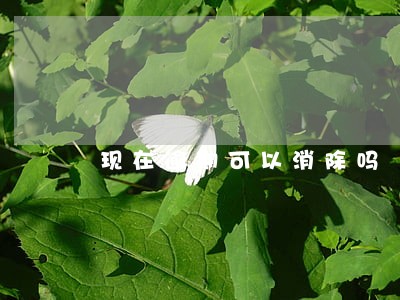 现在逾期可以消除吗
