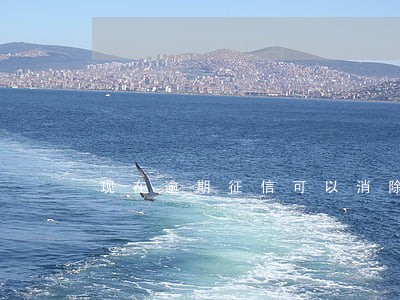 现在逾期征信可以消除吗 现在逾期征信可以消除吗