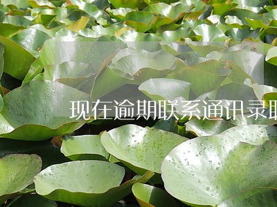 现在逾期联系通讯录联系人 现在逾期联系通讯录联系人