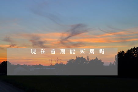 现在逾期能买房吗 现在逾期能买房吗