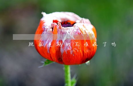 现在逾期都不催收了吗