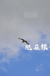 现在银行信用卡逾期怎么收费