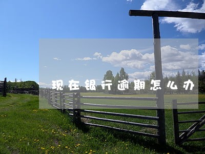 现在银行逾期怎么办 现在银行逾期怎么办