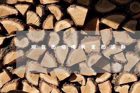 现在面临债务全面逾期 现在面临债务全面逾期