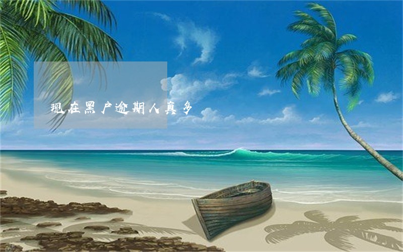 现在黑户逾期人真多 现在黑户逾期人真多