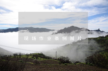 现场作业条例图片 现场作业条例图片