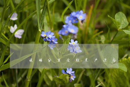 现场分享逾期黑户漂白 现场分享逾期黑户漂白