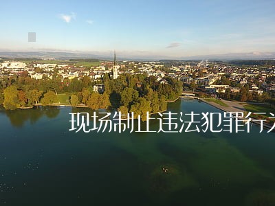 现场制止违法犯罪行为后 现场制止违法犯罪行为后