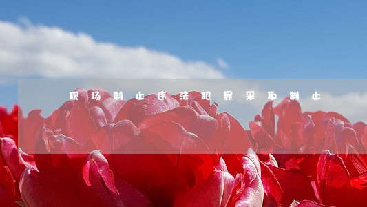 现场制止违法犯罪采取制止 现场制止违法犯罪采取制止