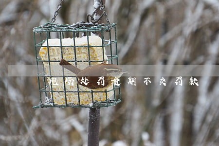 现场处罚逾期不交罚款 现场处罚逾期不交罚款