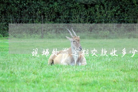 现场处罚逾期交款收多少滞纳金 现场处罚逾期交款收多少滞纳金