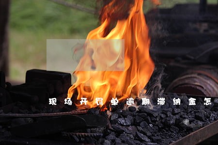 现场开罚单逾期滞纳金怎么交 现场开罚单逾期滞纳金怎么交