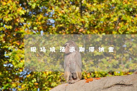 现场执法逾期滞纳金 现场执法逾期滞纳金
