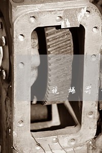 现场罚单200一年逾期 现场罚单200一年逾期