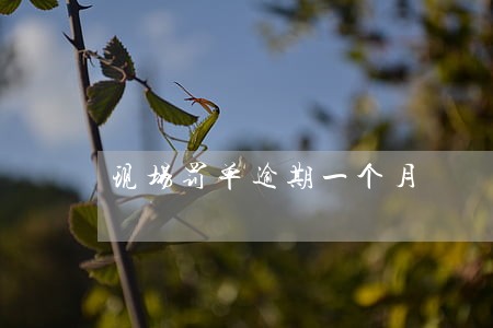 现场罚单逾期一个月 现场罚单逾期一个月