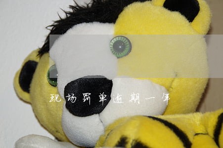 现场罚单逾期一年 现场罚单逾期一年