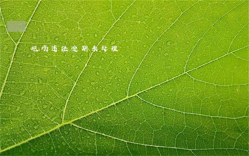 现场违法逾期未处理 现场违法逾期未处理