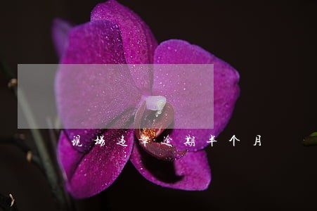现场违章逾期半个月