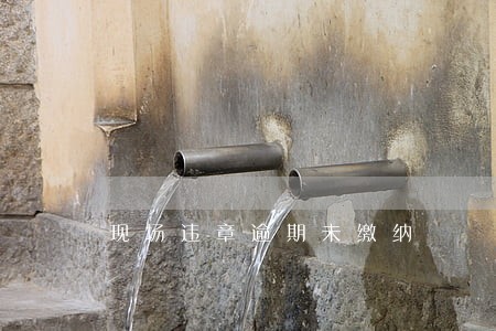 现场违章逾期未缴纳 现场违章逾期未缴纳