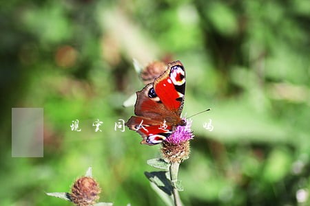 现实同人违法吗 现实同人违法吗