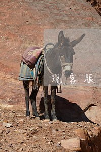 现客服说要寄律师函起诉 现客服说要寄律师函起诉
