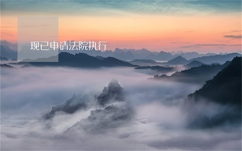 现已申请法院执行