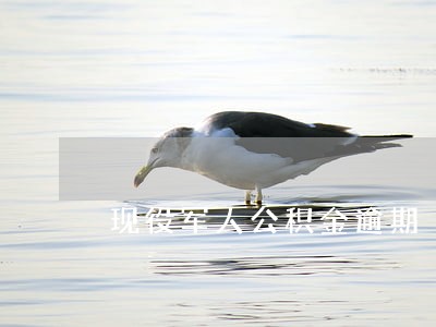 现役军人公积金逾期 现役军人公积金逾期