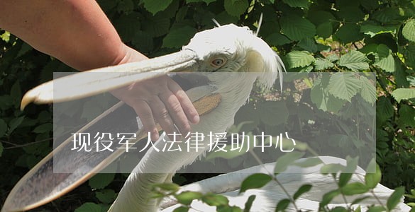 现役军人法律援助中心 现役军人法律援助中心