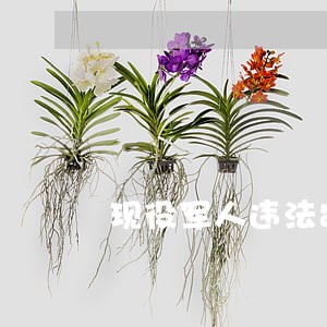 现役军人违法犯罪的管辖